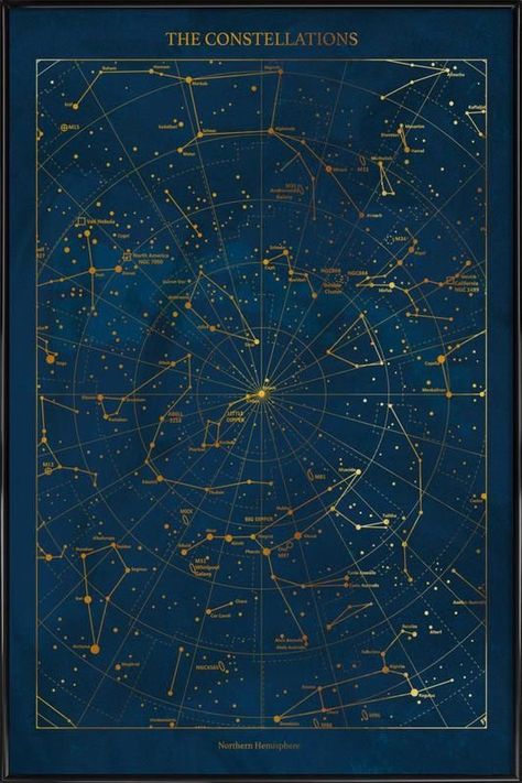 Dark Academia Posters, Constellation Poster, Affiches D'art Déco, Astronomy Art, The Oracle, Gold Poster, Plakat Design, Hakone, Flora Fauna