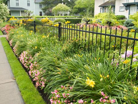 Simple iron fence Wrought Iron Fence Ideas, Backyard Greenhouse Ideas, Beautiful Fences, Child Friendly Garden, Front Porch Landscape, Iron Fencing, Iron Fences, Wrought Iron Fence, Porch Landscaping