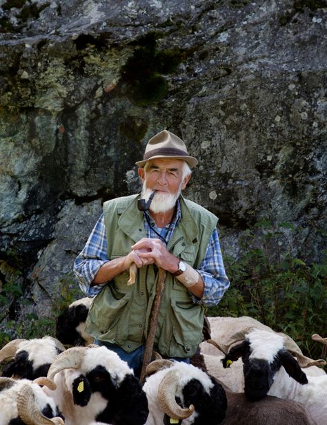 A mountain man takes his pipe break in the Swiss Alps. A man tending to his sheep... just like Jesus, our Shepherd, takes care of us... Breeding Rabbits, Raising Rabbits, Alpine Village, Black Nose, Shepherds Hut, Sheep Farm, The Good Shepherd, The Shepherd, Mountain Man