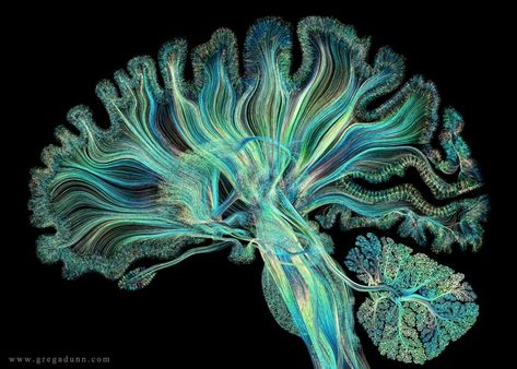 Custom Prints and Murals Neurosurgery Aesthetic, Neuro Aesthetic, Microscope Art, Neuroscience Art, Brain Tattoo, Biology Art, Brain Art, Dorm Art, Bio Art