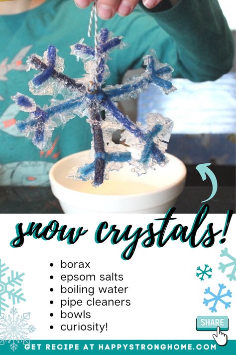 Make Snow Crystals 2 different ways with this science experiment recipe / tutorial - perfect for a homeschool mini unit or winter snowflake study - parents and teachers will love this activity for hands on learning and fun! Snowflake Crystal Experiment, Snowflakes Science, Make Your Own Snow, Classroom Christmas Party, Snowflake Bentley, Make Snow, Winter Unit, Growing Crystals, Salt Crystals