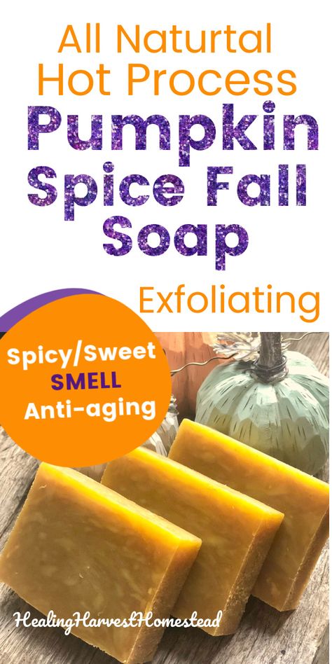 Exfoliating Skincare, Natural Soaps Recipes, Pumpkin Spice Soap, Diy Soap Recipe, Pumpkin Soap, Fall Soaps, Handmade Soap Recipes, Sugar Scrub Homemade, Soap Making Recipes