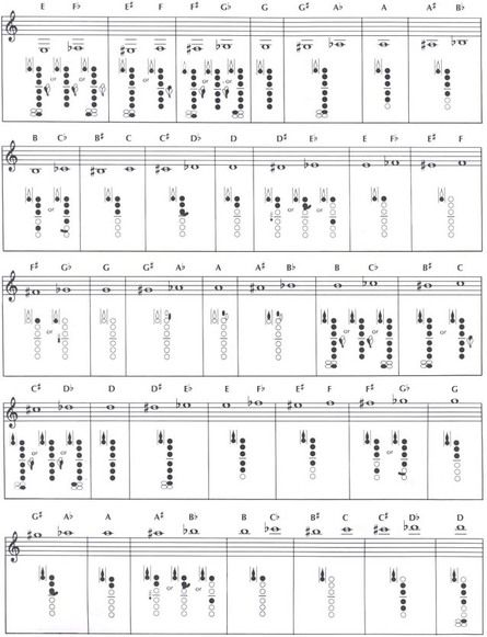 Playing the Bass Clarinet is relatively easy, however it takes some getting used to, especially on the lowest notes. But in time you will get them without difficulty. First you will want to set up... Clarinet Fingering Chart, Bass Clarinet Sheet Music, Clarinet Music, Clarinet Sheet Music, Bass Clarinet, Alto Sax, Tenor Sax, Charts For Kids, Sample Resume