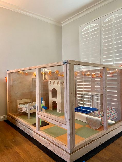 Pine and Plexiglass Rabbit Enclosure Indoor, Indoor Rabbit Enclosure, Bunny Set Up Indoor Cute, Indoor Rabbit Setup, Bunny Sheds, Indoor Rabbit House, Diy Bunny Cage, Rabbit Pen, Indoor Rabbit Cage