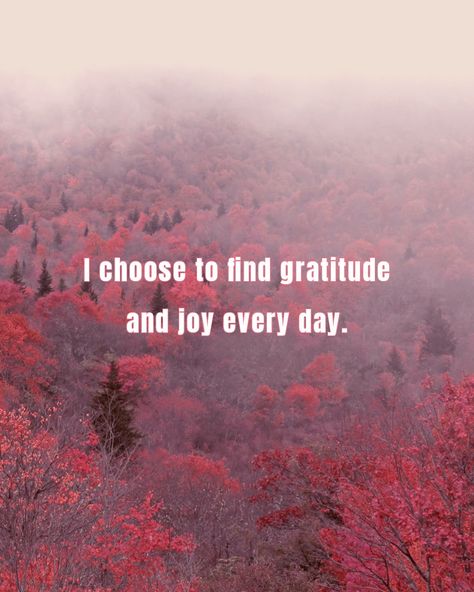 Grateful Heart, The Little Things, Finding Joy, Daily Affirmations, Choose Me, Daily Dose, Little Things, Gratitude, Quick Saves