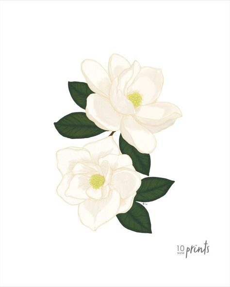 Instant digital download in 5 sizes: 5x7", 8x10", 11x14", 16x20", & 18x24" Magnolia Flower Illustration, Magnolia Illustration, Hand Painted Clothes, Magnolia Colors, Magnolia Flower, Painted Clothes, Flower Illustration, Art Wall Art, Illustration Print