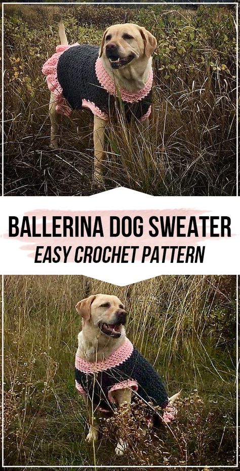 Easy Crochet Dog Sweater, Easy Crochet Dog, Crochet Dog Sweater Pattern, Crochet Dog Sweater Free Pattern, Crochet Ballerina, Sweater Free Pattern, Large Dog Sweaters, Crochet Dog Clothes, Dog Sweater Crochet Pattern