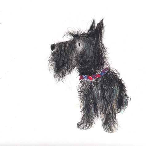 Catherine Rayner (@catherine.rayner) • Instagram photos and videos Schnauzer Sketch, Scottie Dog Puppy, Catherine Rayner, Watercolor Dog Portrait, Crazy Dog Lady, Graphics Layout, Christmas Card Art, Black Cat Art, Dog Books