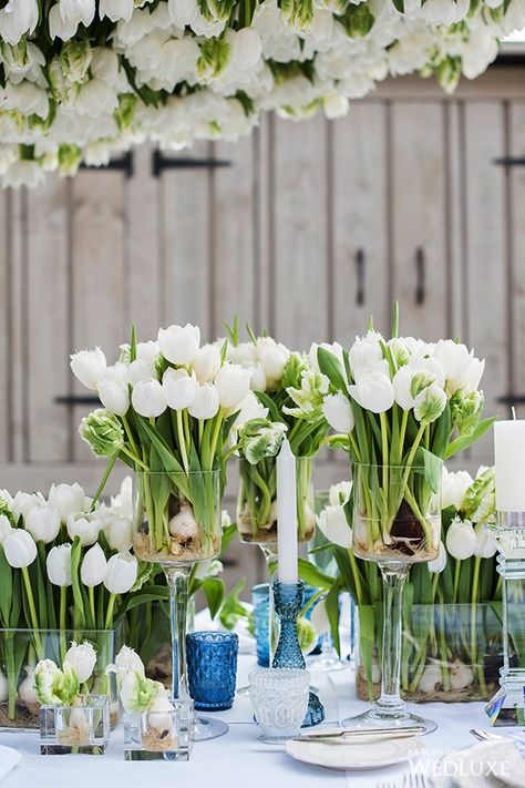 WedLuxe – Tulip Fever | Photography by: Fiona Kelly Photography Follow @WedLuxe for more wedding inspiration! 2024 Wedding Bouquet Trends, Tulip Wedding Arrangements, Tulip Wedding Centerpieces, Tulips Wedding, Tulip Fever, Dutch Wedding, Expensive Flowers, Tulip Wedding, Wedding Motifs