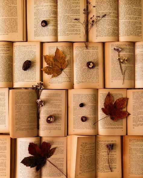 Vintage Book Wallpaper, Beige Books, Reading Kindle, Mundane Objects, Autumn Books, Childlike Wonder, World Of Books, Avid Reader, A Sea