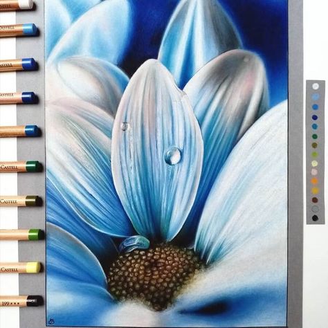 flower pencil drawing Realistic Flower Drawing, Beautiful Pencil Drawings, Easy Flower Drawings, Pencil Drawings Of Flowers, Pencil Artwork, Prismacolor Art, Realistic Pencil Drawings, Colored Pencil Artwork, Painting Art Lesson