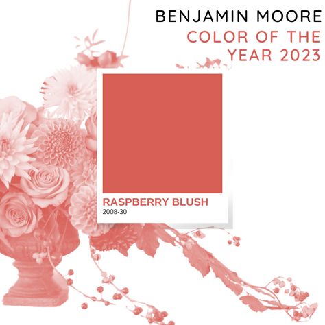 Raspberry Blush Benjamin Moore, Raspberry Blush Color, 2023 Colour Of The Year, Coral Paint Colors, Blush Living Room, Coral Paint, 2023 Color Of The Year, Raspberry Blush, Color Pantone