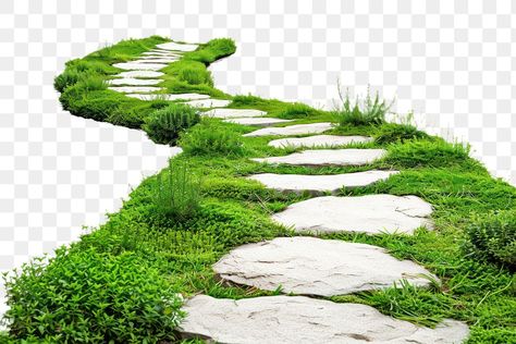 Stone Png, Grass Path, Decent Wallpapers, Drukarka 3d, Photoshop Backgrounds Backdrops, House Cartoon, Stone Steps, Background Images For Editing, Landscape Elements