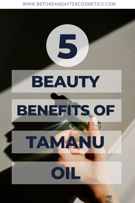 Tamanu Oil Benefits, Tattoo Oil, Fur Oil, Clear Things, Tamanu Oil, Cinnamon Oil, South East Asia, Best Skincare Products, Cream Concealer