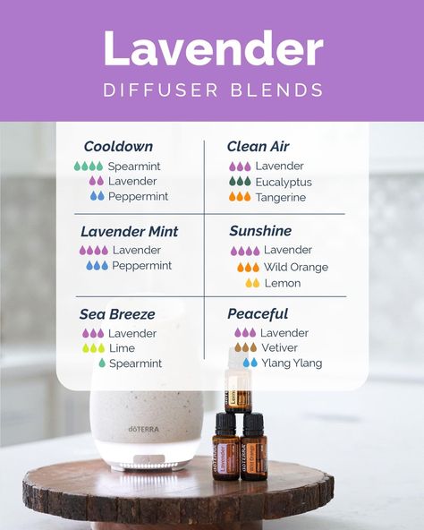 Lavender Diffuser Blends, Lavender Blends, Lavender Diffuser, Doterra Oils Recipes, Doterra Lavender, Essential Oil Diffuser Blends Recipes, Living Essentials Oils, Essential Oil Diffuser Blends, Oil Diffuser Blends