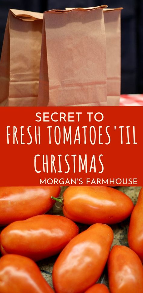 Storing Tomatoes For Winter, Storing Tomatoes, How To Store Tomatoes, Homegrown Food, Eat Fresh, Winter Storage, Grow Plants, Tomato Garden, Fermenting