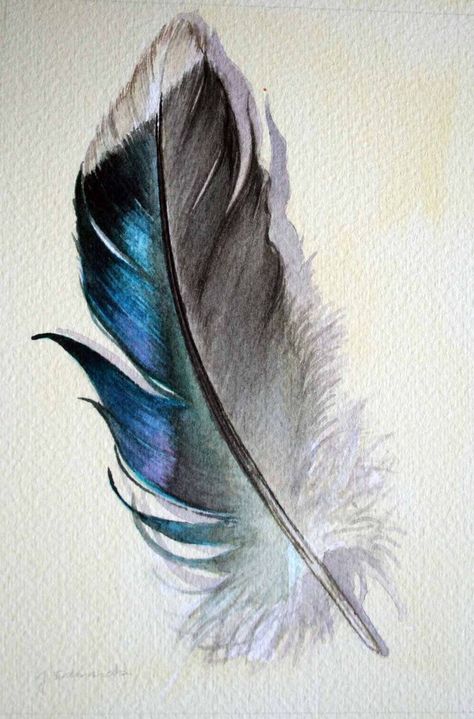 Paintings Of Feathers, Watercolor Feather Painting, Feather Art Painting, Watercolour Feathers, Feather Drawings, Feather Art Drawing, Feathers Drawing, Feathers Painting, Feather Sketch