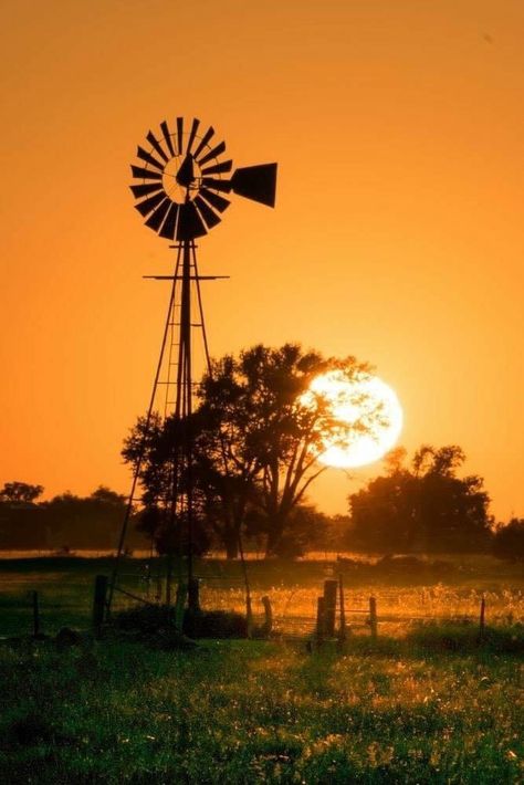 Farm Windmill, Windmill Water, Advantages Of Solar Energy, Old Windmills, Wind Mills, Country Scenes, Old Barns, Old Farm, Green Energy