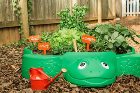 Kids Gardening Projects, Gardening Projects, Children's Garden, School Garden, Garden Pictures, Diy Garden Projects, Upcycled Crafts, Veggie Garden, Sandbox