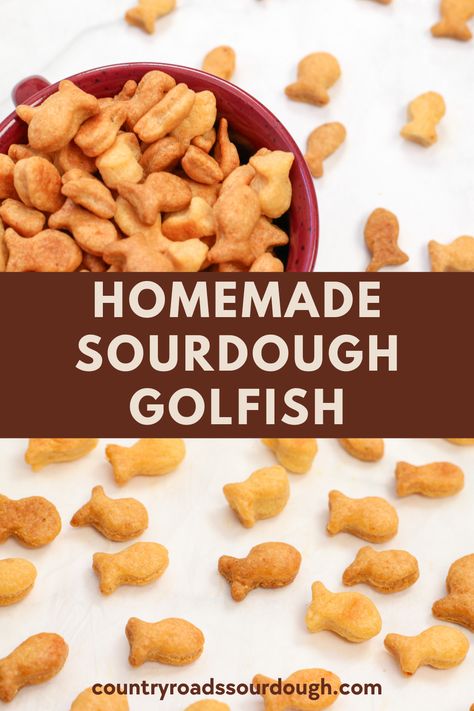 Sourdough Goldfish Crackers, Sourdough Goldfish, Goldfish Recipe, Sourdough Crackers, Goldfish Food, Cracker Recipe, Natural Yeast, Cheddar Crackers, Discard Recipes