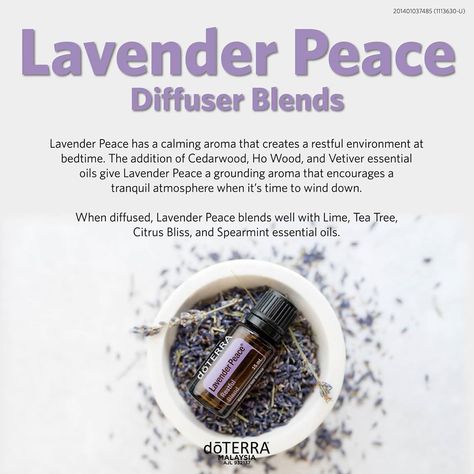 Luteal Phase, Waning Moon, Doterra Diffuser Blends, Vetiver Essential Oil, Essential Oil Diffuser Recipes, Oil Diffuser Recipes, Diffuser Blend, Diffuser Recipes, Doterra Oils