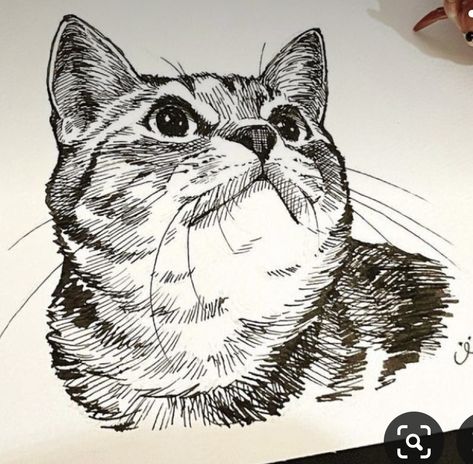 Cat Pen Sketch, Ink Cat Drawing, Pen Animal Drawings, Cat Pen Drawing, Cat Ink Drawing, Simple Cat Tattoo, Line Art Simple, Cat Tattoo Ideas, Cats Art Drawing