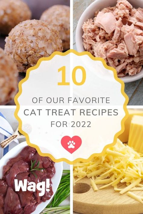 Homemade Cat Ice Cream, Dog And Cat Homemade Treats, Dehydrated Cat Treats Recipes, Soft Cat Treats Homemade, Dehydrated Cat Treats, Chicken Cat Treats Homemade, Home Made Cat Treats Easy, Homemade Treats For Cats, Cat Recipes Food