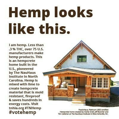 Hempcrete Hemp Crete, Hemp Farming, Hemp Farm, Save Our Earth, Natural Building, Cbd Hemp, Our Environment, Green Building, Cbd Oil