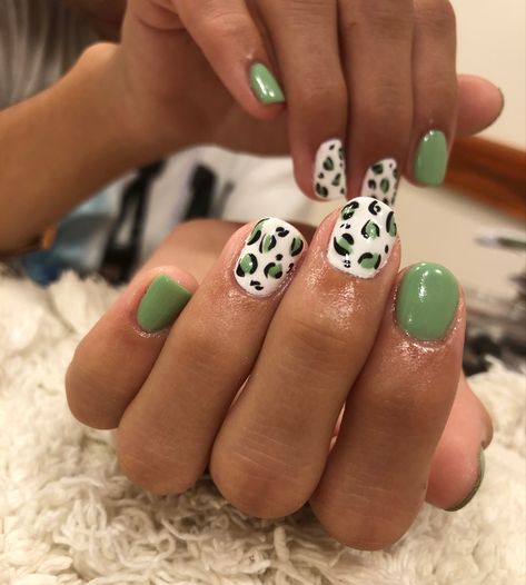 Green Leapord Nails, Green Nails With Leopard Print, Green Leopard Print Nails, Green Leopard Nails, Character Nails, Cute Nail Colors, Pedi Ideas, Leopard Print Nails, Print Nails