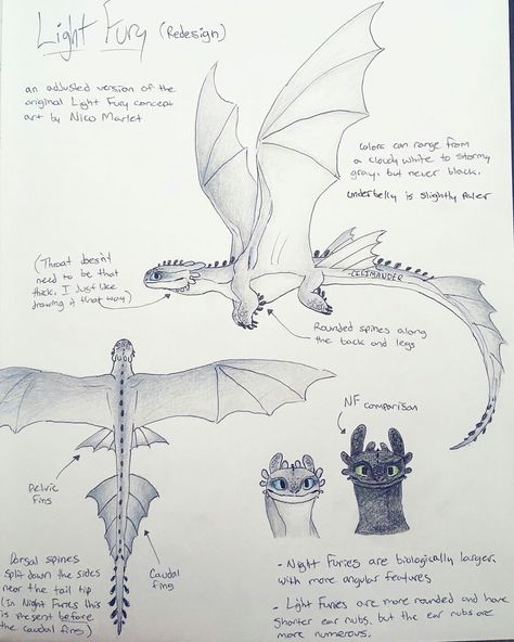 Light Fury Old Design, Httyd Light Fury Concept Art, Light Fury Anatomy, Night Fury Concept Art, How To Draw Httyd Dragons, Httyd Light Fury Redesign, Toothless Redesign, Light Fury Concept Art, Dragons From How To Train Your Dragon