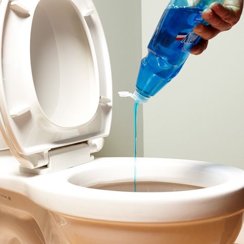 If You Know These Things You’re a Genius Homeowner Unclog Toilet, How To Unclog Toilet, Clogged Toilet, Leaky Faucet, Dawn Dish Soap, Home Fix, Family Handyman, Diy Home Repair, Toilet Bowl