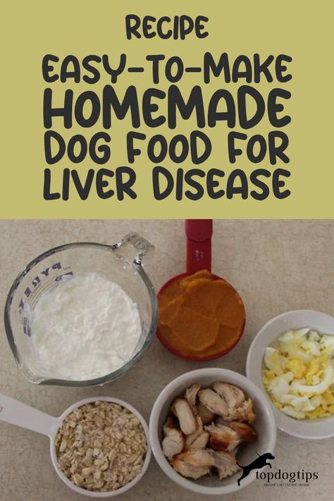 Love in Every Bite: DIY Dog Food for Liver Disease Relief Liver Dog Food Recipes, Healthy Liver Diet For Dogs, How To Cook Liver For Dogs, Beef Liver For Dogs, Homemade Dog Food For Liver Issues, Food Good For Liver, Hepatic Dog Food Recipe, Low Protein Dog Food, Dehydrated Liver Dog Treats