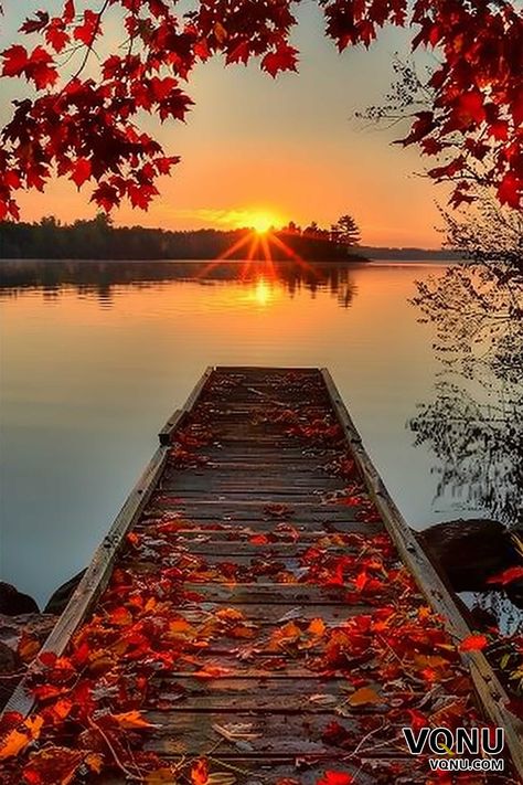 A serene lake at sunrise, with a wooden dock covered in autumn leaves, surrounded by vibrant red and orange foliage, creating a peaceful and picturesque scene. Fall On The Beach, Fall At The Beach, Beautiful Houses Exterior, Autumn Sunrise, Autumn Beach, Beautiful Property, House Pics, Peaceful Nature, Cabin In The Mountains