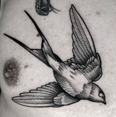 Sparrow Tattoo Design, Gothic Tattoos, Etching Ideas, Evil Skull Tattoo, Etching Tattoo, Vogel Tattoo, Woodcut Tattoo, Line Tattoo Ideas, Engraving Tattoo