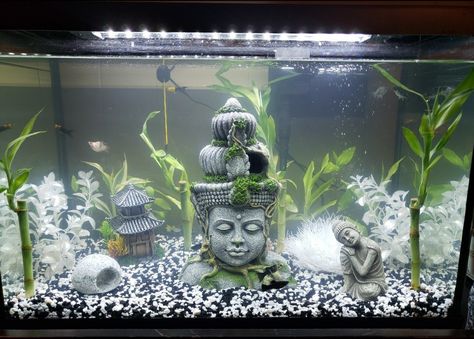 Zen bamboo fish fish tank Fairy Theme Fish Tank, Black And White Fish Tank, Zen Fish Tank, Small Fish Tank Ideas Bedrooms, Square Fish Tank, Cute Fish Tank Ideas, Fish Tank Themes Ideas, Angel Fish Tank, Cool Fish Tank Decorations