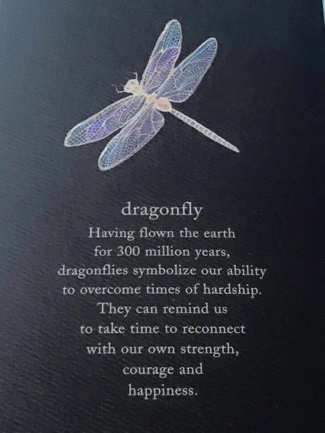 Dragonflies Wallpaper, Dragonfly Meaning Spiritual, Cosmic Quotes, Dragonfly Meaning, Dragonfly Symbolism, Dragonfly Quotes, Dragonfly Wallpaper, Pocket Hugs, Dragonfly Tattoo Design