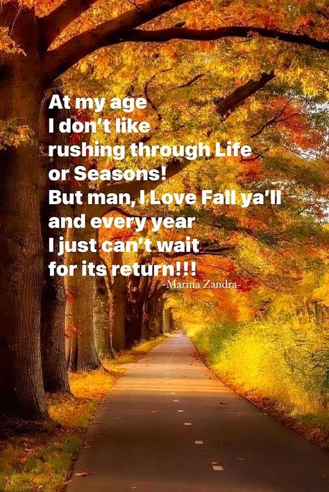 Ber Months, Autumn Quotes, Morning Blessings, Nature Quotes, Cant Wait, Falling In Love, Quotes