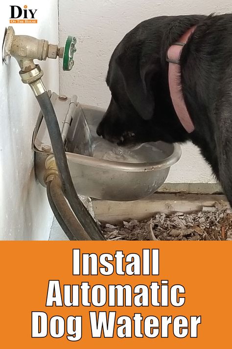 Automatic Dog Water Bowl, Self Watering Dog Bowl Diy, Built In Pet Water Fountain, Outdoor Dog Water Bowl, Dog Fountain Outdoor Diy, Dog Water Bowl Mess, Outdoor Dog Water Station, Automatic Dog Waterer, Dog Bowls Diy