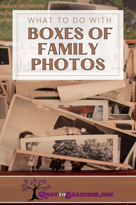 Don't let your family photo treasures gather dust! Discover inspiring ways to breathe new life into your collection. Learn how to digitize, create photo albums, and showcase your family's history like never before. 📸📚👨‍👩‍👧‍👦 #PhotoPreservation #FamilyHeritage #MemoryKeeping Ways To Display Old Family Photos, Organizing Old Photos, Old Photo Storage Ideas, What To Do With Old Photos, Vintage Photo Album Ideas, Old Family Photos Display, Old Photos Ideas, Family Album Ideas, Family Heirloom Display