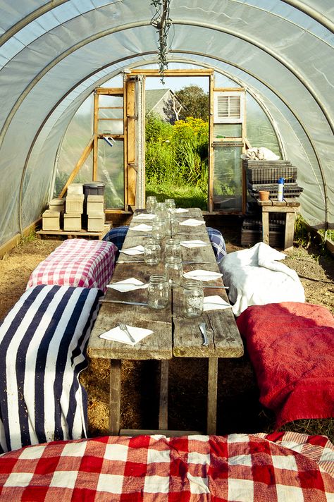 Gingham Cushions, Allotment Inspiration, Tunnel House, Greenhouse Farming, Student Lounge, Hoop House, Lunch Table, Greenhouse Interiors, Lounge Ideas