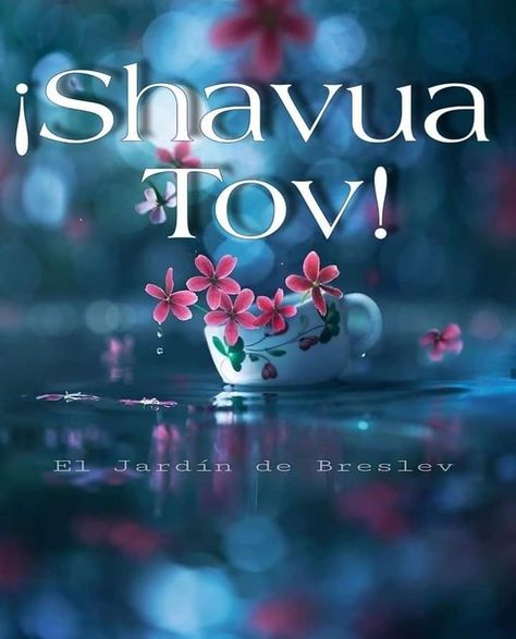 Shavua Tov, Spanish Inspirational Quotes, Namaste, Inspirational Quotes, Collage, Quotes, Pins, Beauty, Quick Saves