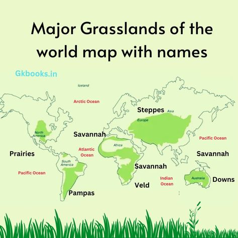 grasslands of the world Basic Geography Notes, World Geography Notes, Geography Vocabulary, World Geography Map, Geography Notes, Basic Geography, World History Facts, Earth Science Lessons, Ias Study Material