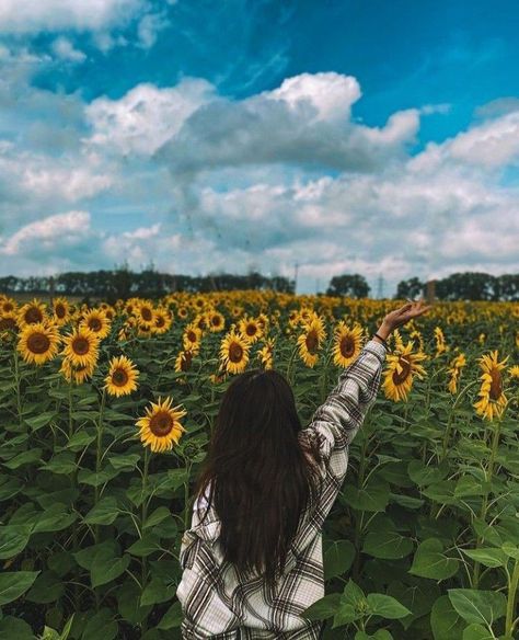 Pink Wallpaper Quotes, Bicycle Wallpaper, Pro Pic, Academia Aesthetic Wallpaper, Summer Scenery, Sunflower Aesthetic, Nithya Menen, Insta Dp, Sunflower Photography