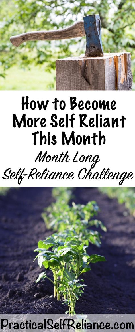 How to Become More Self Reliant This Month ~ Month Long Self Reliance Challenge Self Reliant Living, Apartment Homesteading, Backyard Homesteading, Homesteading Life, Self Sufficient Homestead, Trees For Front Yard, Human Element, Homesteading Ideas, Homesteading Diy