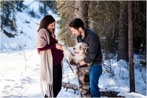 Winter Maternity Photoshoot With Dog, Winter Maternity Photos Outdoor, Snow Maternity Photos, Winter Maternity Photography, Calgary Winter, Baby Announcement Winter, Winter Maternity Pictures, Maternity Photography Winter, Diy Maternity Photos