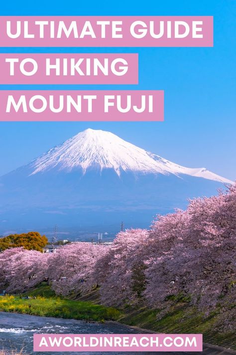 A pinterest pinnable image with a photo of snow-capped Mount Fuji and cherry blossom trees in the foreground with text overlay reading "Ultimate Guide to Hiking Mount Fuji" Girls Traveling, Traveling Asia, Mt Fuji Japan, Mount Fuji Japan, Japanese Onsen, Fuji Japan, Japan Travel Tips, Adventure Hiking, Travel Asia