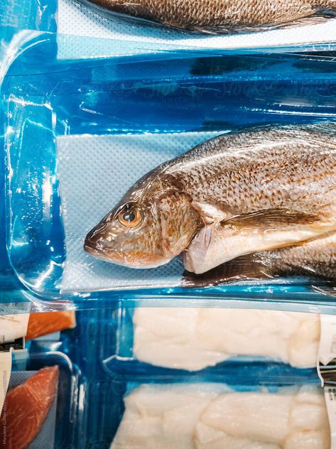 Fish wrapped in plastic packaging on grocery store shelf. UGC image taken on a mobile phone. Fish Wrap, Store Shelves, Mary Ann, Plastic Packaging, Grocery Store, Mobile Phone, Packaging, Fish