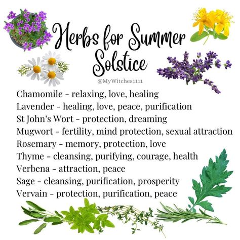 Summer Witchcraft, Witchy Ingredients, Fairy Plants, Solar Witch, Witch Apothecary, Witchy Garden, Silent Prayer, Magickal Herbs, Mojo Bags