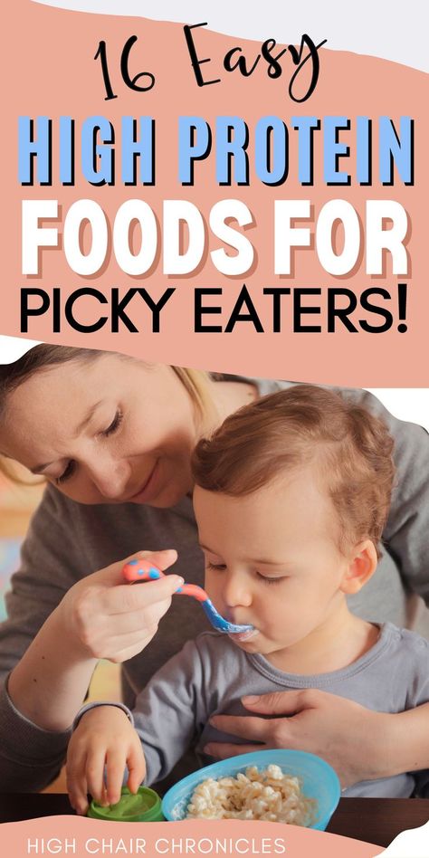 Protein Recipes For Kids, High Protein Breakfast For Picky Eaters, Protein Breakfasts For Kids, High Protein Foods For Picky Eaters, High Protein Snacks For Toddlers, Protein Snacks For Picky Eaters, High Protein Picky Eater, Kids Picky Eaters Meals, High Protein Foods For Kids