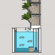 Aquaponic garden sys Backyard Aquaponics, Aquaponics Fish, Aquaponics Diy, Aquarium Terrarium, Aquaponic Gardening, Natural Fertilizer, Environmental Sustainability, Aquaponics System, Hydroponic Gardening